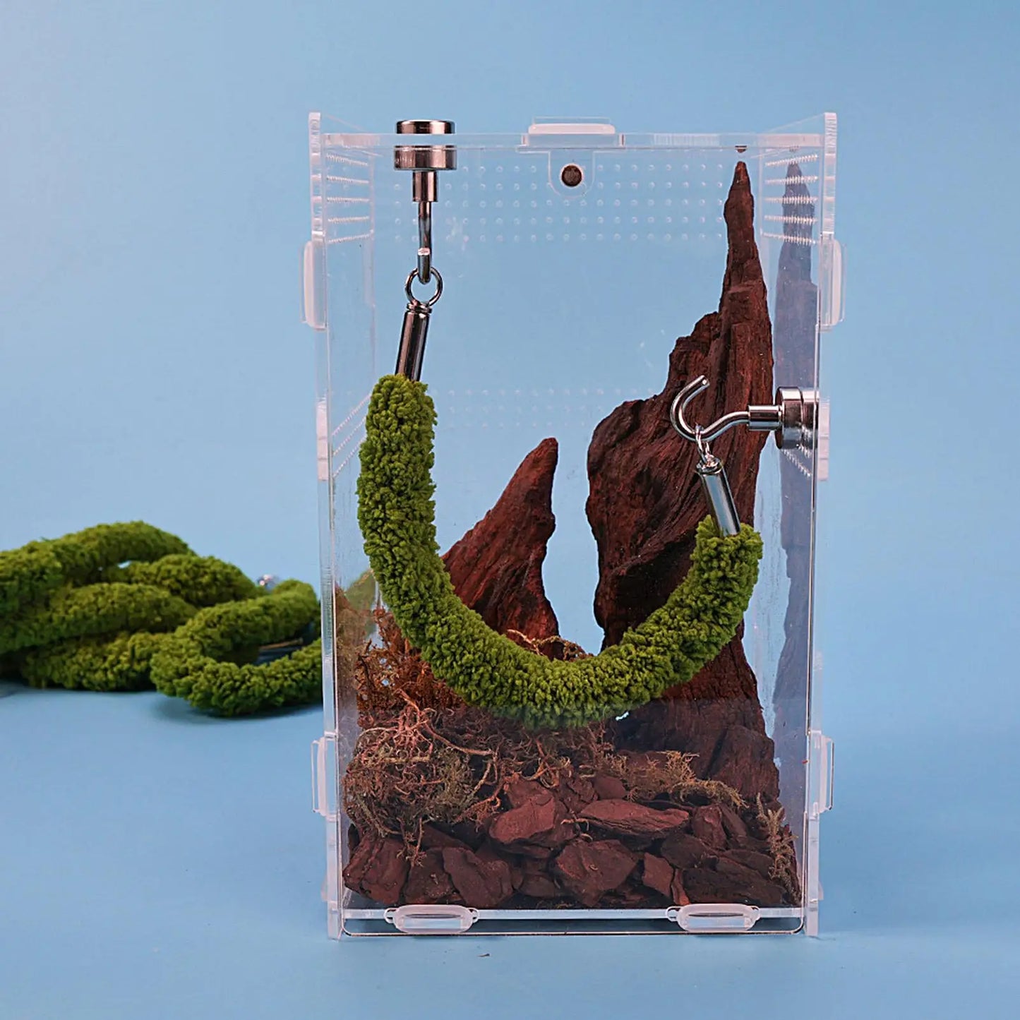 Jumping Spider Bridge Hermit Crab Climbing Enclosure Bridge Swings  Spider/Gecko Jumping stand Climbing ladder for Terrarium