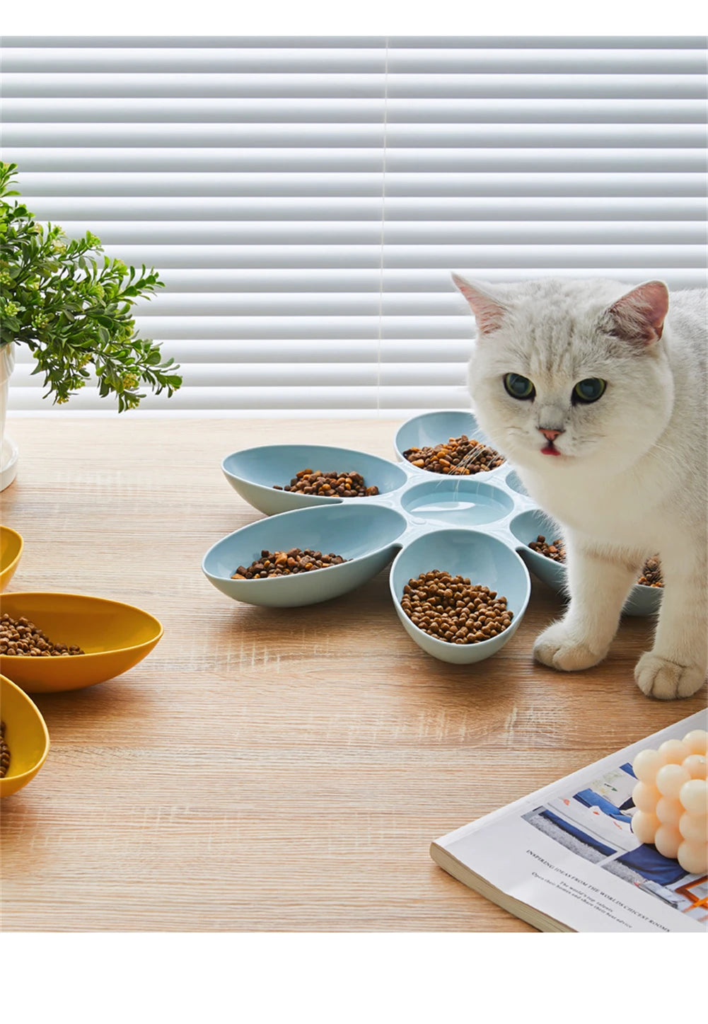 Cat Bowl Multi Cat Petal Food Bowl Baby Cat Milk Cat Special Bowl Multi functional Cat and Dog Food Bowl Upgrade Pet Lunch Time