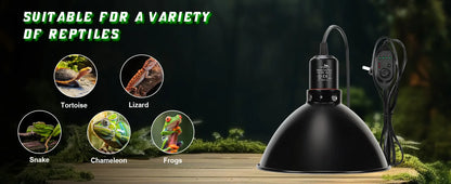 Reptile Heat Lamp Dome 85 Inch with Thermostat Control for Terrarium Lighting Amphibian Habitat Accessories