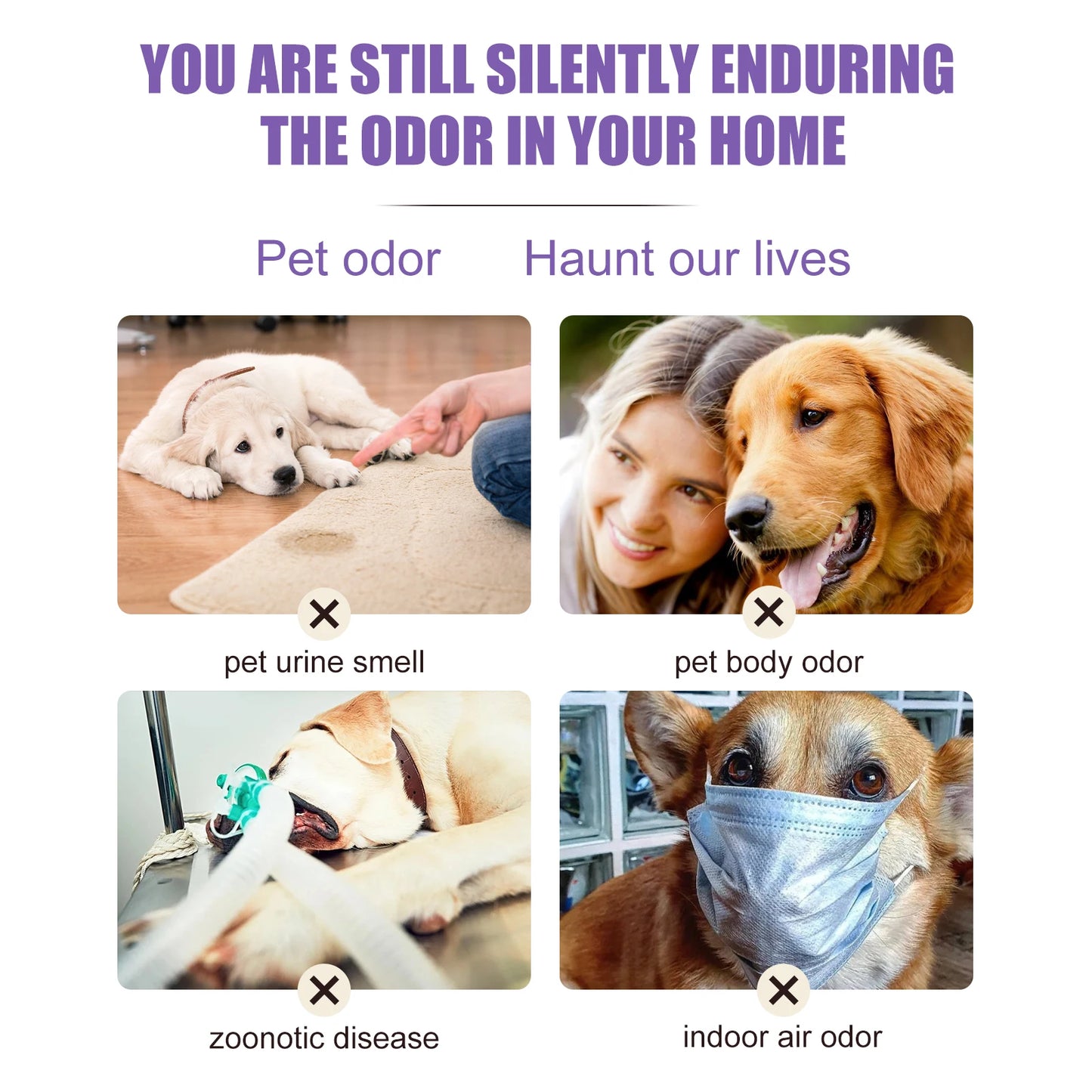 Pet Odor Eliminator Spray for Home Dog Cat Urine Feces Smell Long Lasting Air Freshener Natural Deodorizer 50ml Travel Size