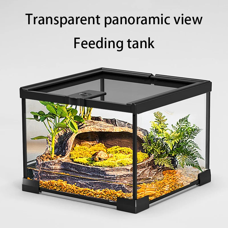 Reptile Terrariums Glass Landscaping Ecological Tank Amphibious Habitat Breeding Box Lizard Turtle Transparent Display Tanks