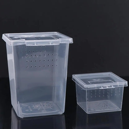 Accessories for Scorpion Spider Ants Transparent Plastic Reptile Habitat Lizard Living Box Hatching Tank Insect Feeding Box