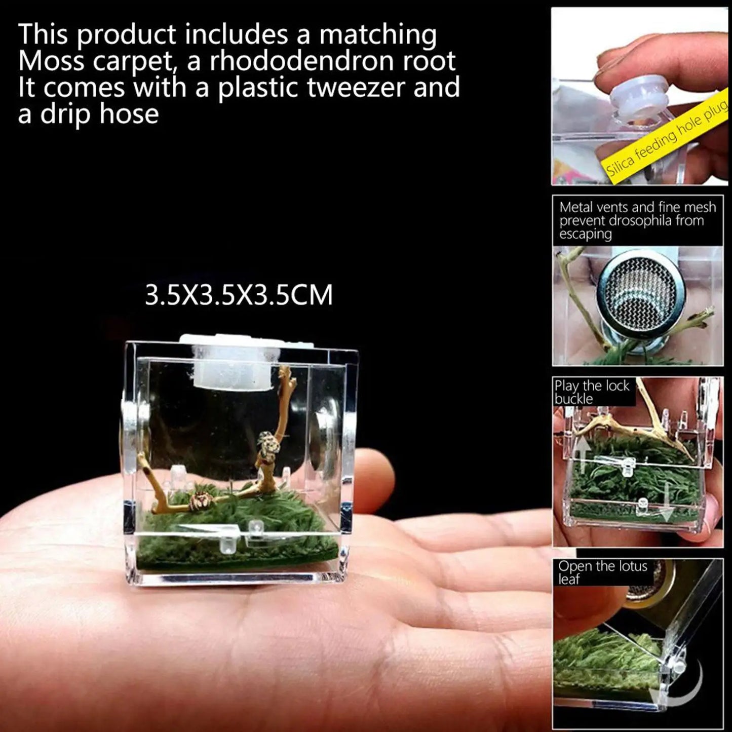 Small Reptile Feeding Box Transparent Acrylic Jumping Spider Breeding Box Habitat Small Insect Container Humidifier Feeding Box