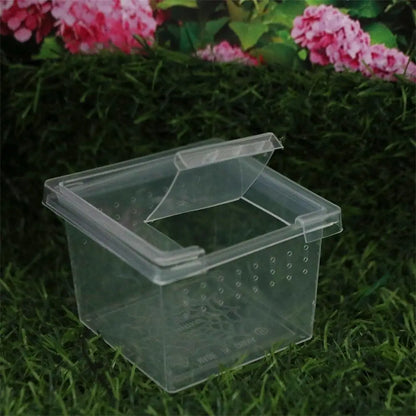Accessories for Scorpion Spider Ants Transparent Plastic Reptile Habitat Lizard Living Box Hatching Tank Insect Feeding Box