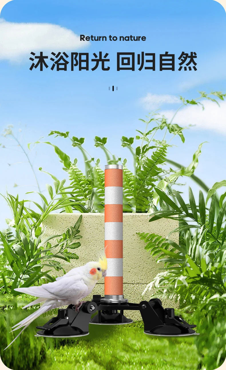 Multi-Functional Perch Stand for Birds with Bird Shower Perch Function Ideal Window Perch for Birds with Secure Suction Cup