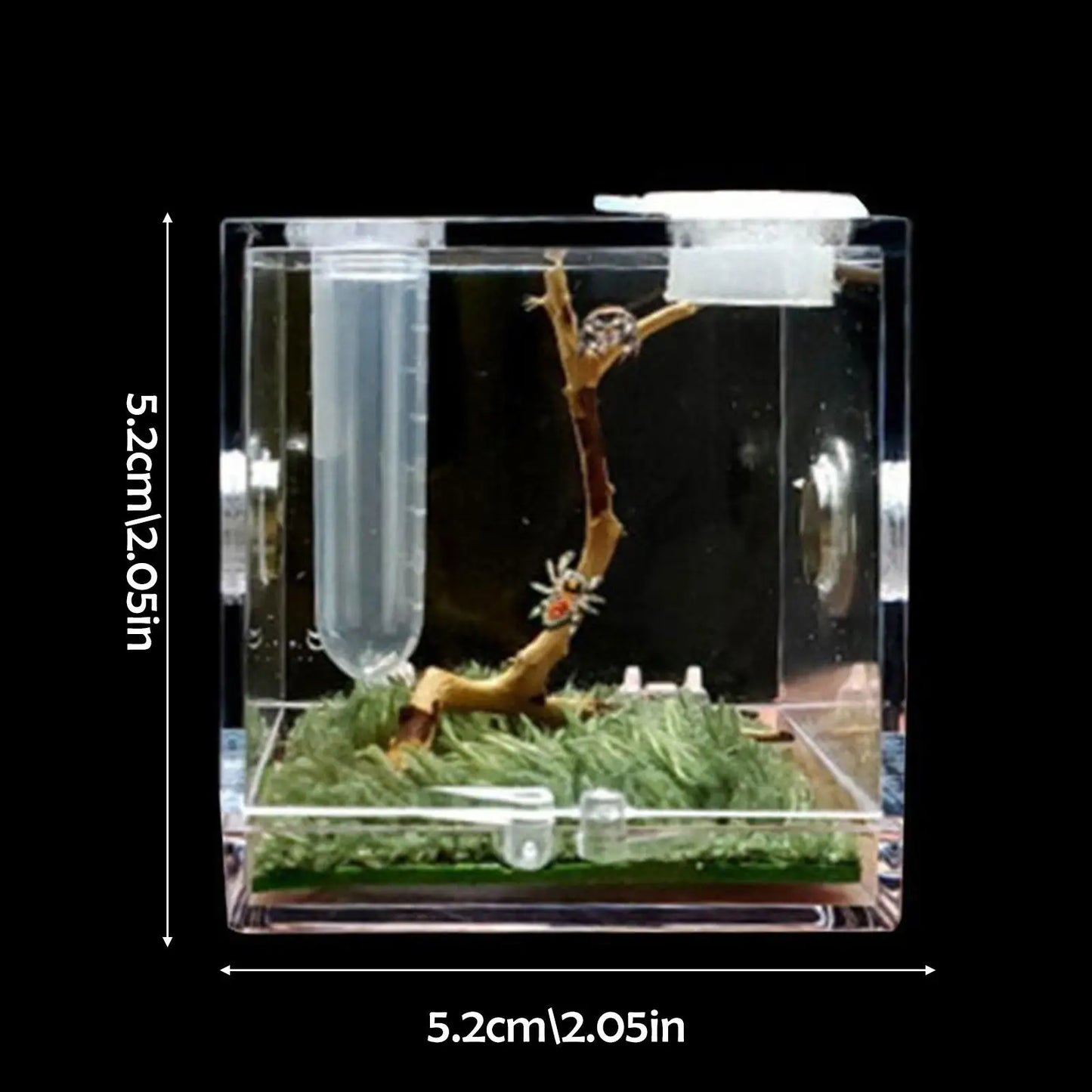 Small Reptile Feeding Box Transparent Acrylic Jumping Spider Breeding Box Habitat Small Insect Container Humidifier Feeding Box