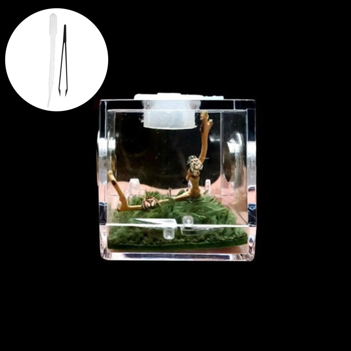 Small Reptile Feeding Box Transparent Acrylic Jumping Spider Breeding Box Habitat Small Insect Container Humidifier Feeding Box