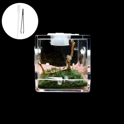 Small Reptile Feeding Box Transparent Acrylic Jumping Spider Breeding Box Habitat Small Insect Container Humidifier Feeding Box