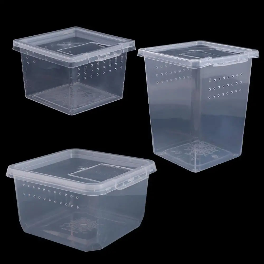 Accessories for Scorpion Spider Ants Transparent Plastic Reptile Habitat Lizard Living Box Hatching Tank Insect Feeding Box