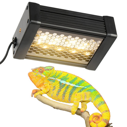 AC100-240V Dimmable LED Reptile UVB light 10W 6H/10H/12H  Timer Snake Turtle Pet Full Spectrum Basking UV Light Heating Lamp 20W