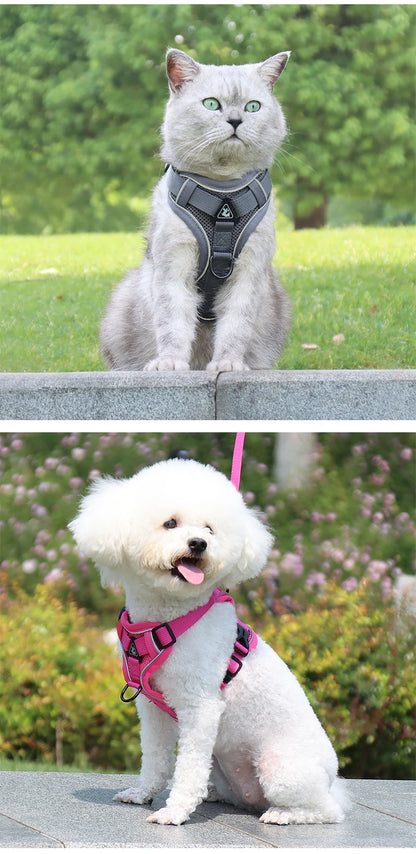 3pc Cat Harness Vest Adjustable Reflective Collars Cute Walking Lead Leash Set Harnesses Necklace For Small Dogs Cat Accessories