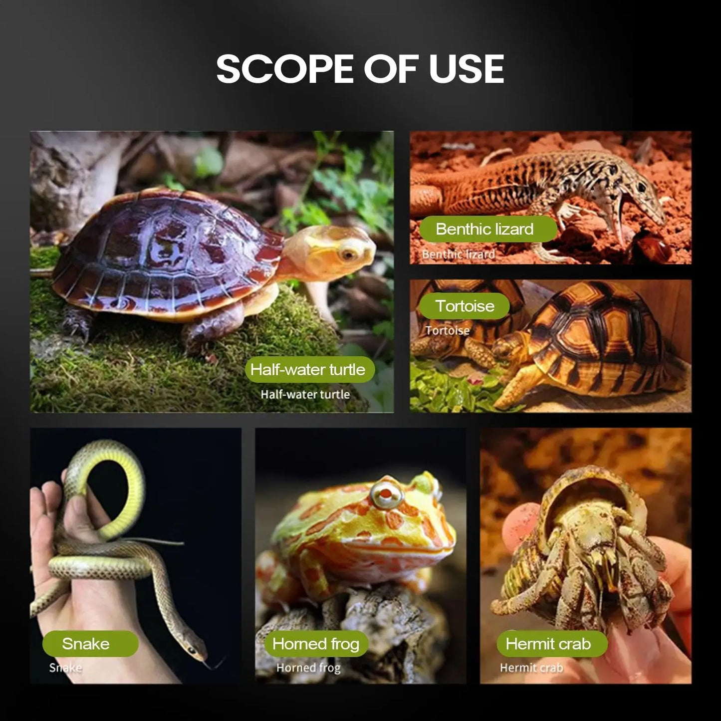 Spider Enclosure Transparent Reptile Enclosure Snake Terrarium for Gecko Snake Frog Chameleon Bearded Dragon Tortoise