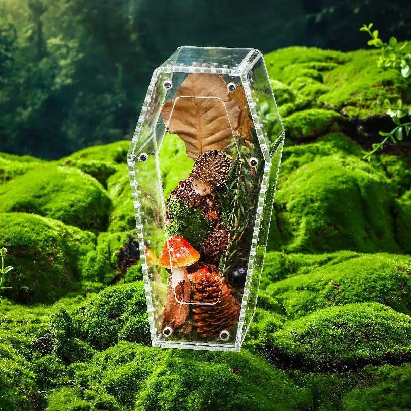 Acrylic Transparent Reptile Enclosure Insect Spider Lizard Feeding Cage Reptile Breeding Box Ventilation Arboreal Enclosure Case