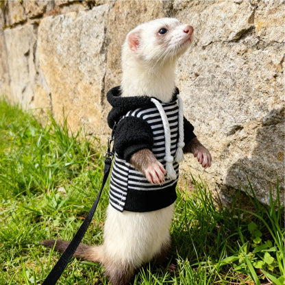 Ferret Clothes Warm Soft Hamster Outfits with Harness Small Animal Ferret Sweater for Bunny Squirrels Chinchilla Chihuahua Pet