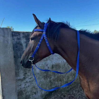 Horse Bridle Harness Set – PU Leather Headstall, Reins, Bit – Adjustable Equestrian Training Gear, Riding Accessories for Horses