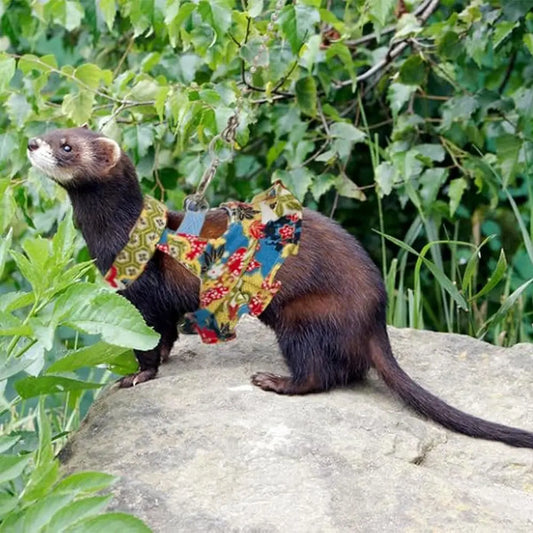Multicolor Ferret Harness and Leash Set Floral Pattern Adjustable Strap Ferret Harness Vest Wear-resistant Breathable
