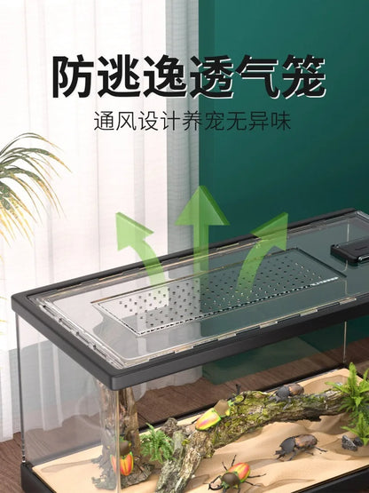 Transparent Rainforest Reptile Breeding Box for Bearded Dragon Lizard Hermit Crab,Palace Guard Ecological Crawling Pet Terrarium