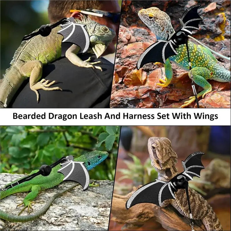 ABKW-Bearded Dragon Harness And Leash Set-Bearded Dragon Accessories, For Outdoor Travel-Black Decor Suit