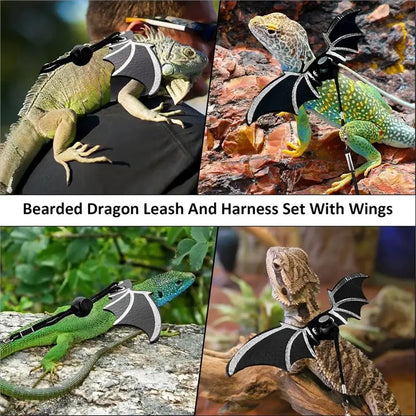 ABKW-Bearded Dragon Harness And Leash Set-Bearded Dragon Accessories, For Outdoor Travel-Black Decor Suit