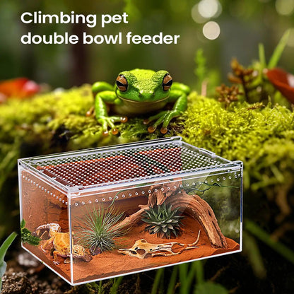 Spider Enclosure Transparent Reptile Enclosure Snake Terrarium for Gecko Snake Frog Chameleon Bearded Dragon Tortoise