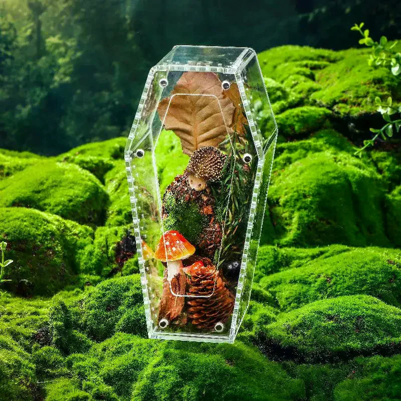 Acrylic Transparent Reptile Enclosure Insect Spider Lizard Feeding Cage Reptile Breeding Box Ventilation Arboreal Enclosure Case