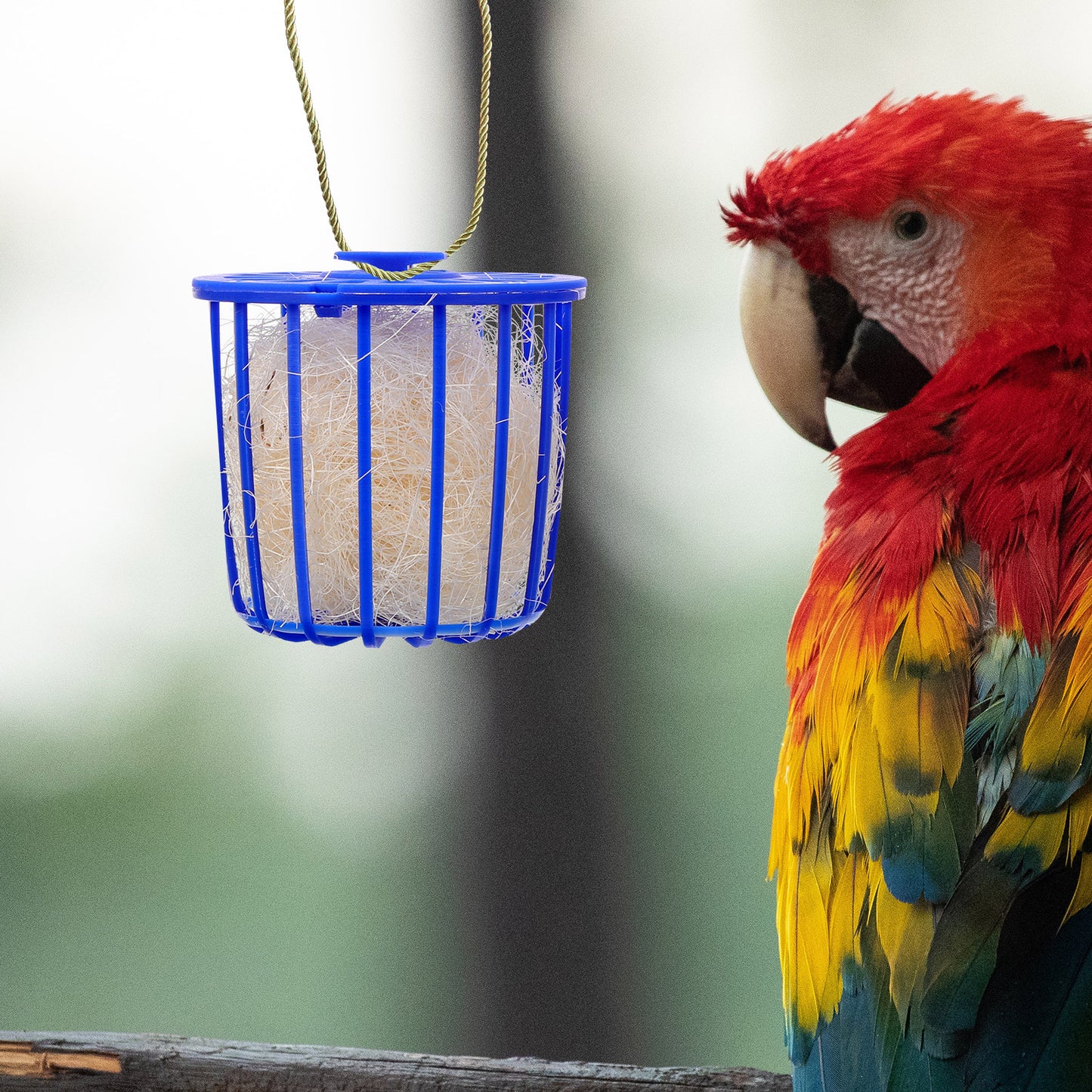 2 Pcs Bird's Nest Toy Breeding Parrot Cage Birds Bedding for Plastic House Hollow Hideaway Shelter Hanging Canary Nests Cages